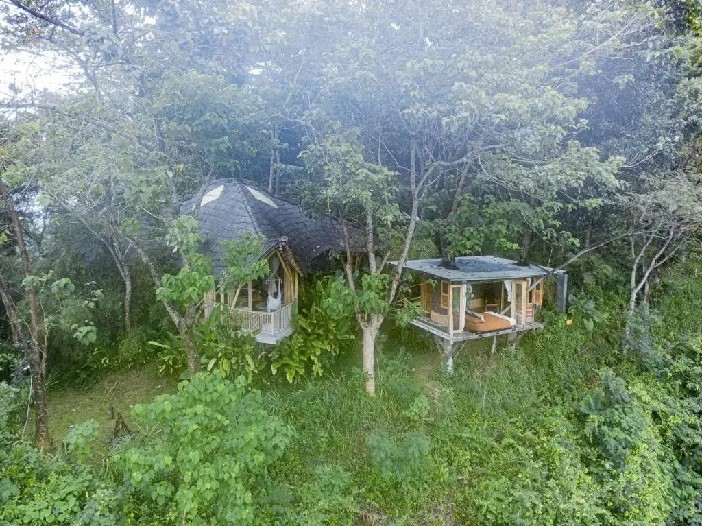 Bird Hills Bamboo House