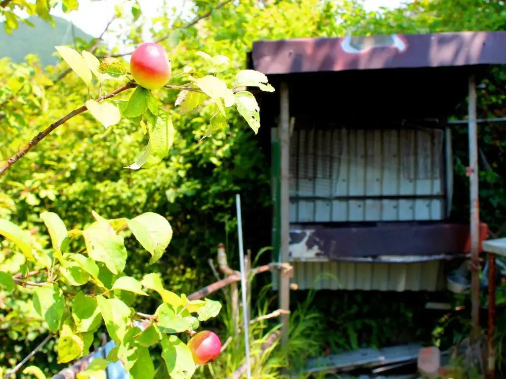Guesthouse on Lakoba 3