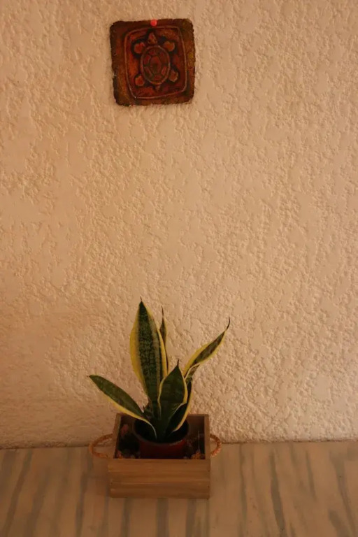 Room in House - Una Joya Para Dormir En Chapalita