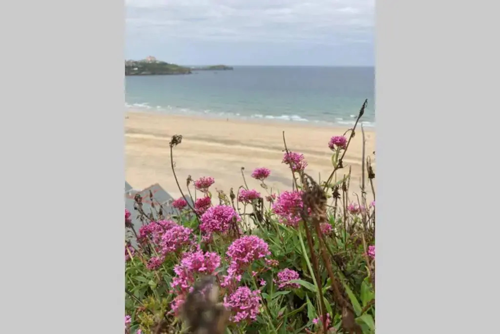 Beautiful 3 bedroom apartment by the Sea
