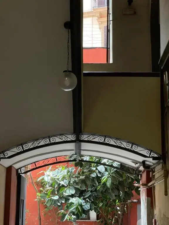 BOTANICO166