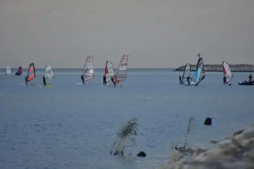 Bajkowa Plaża - Muszelka