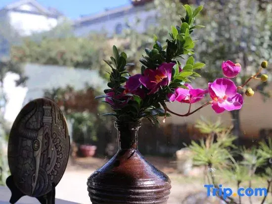 Staying and Forgotten Homestay