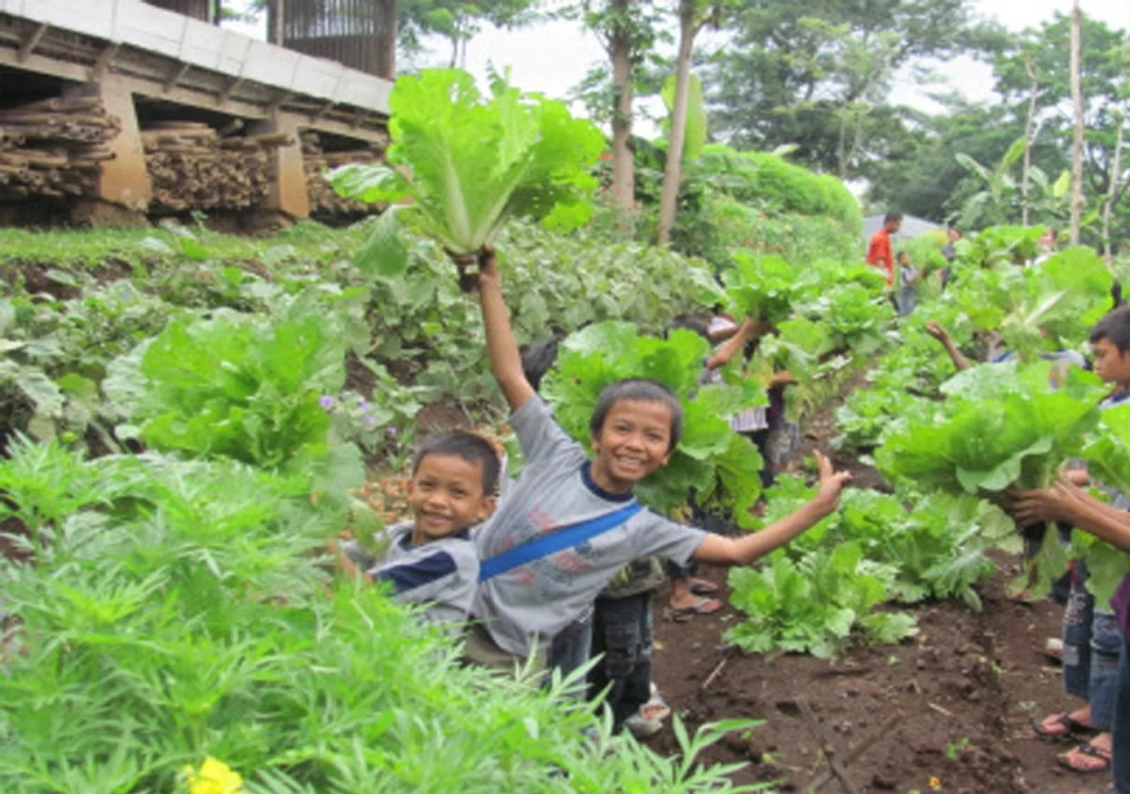 Agrowisata Salatiga Eco Park Convention and C