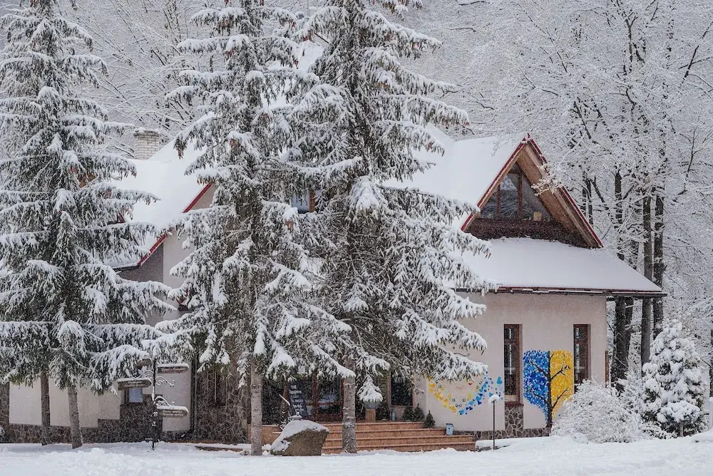 Отель Voevodyno Resort