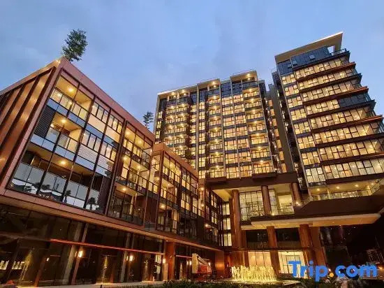 The Emerald Metropole Luxury Apartment