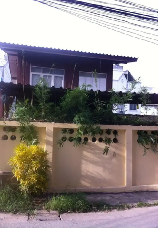 Elephant Retirement Hostel