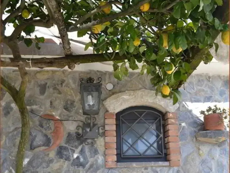 Luna DAgerola