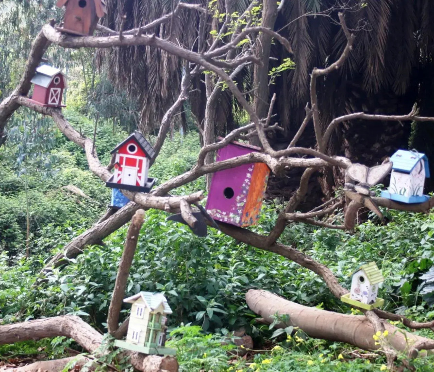 Posada del Parque