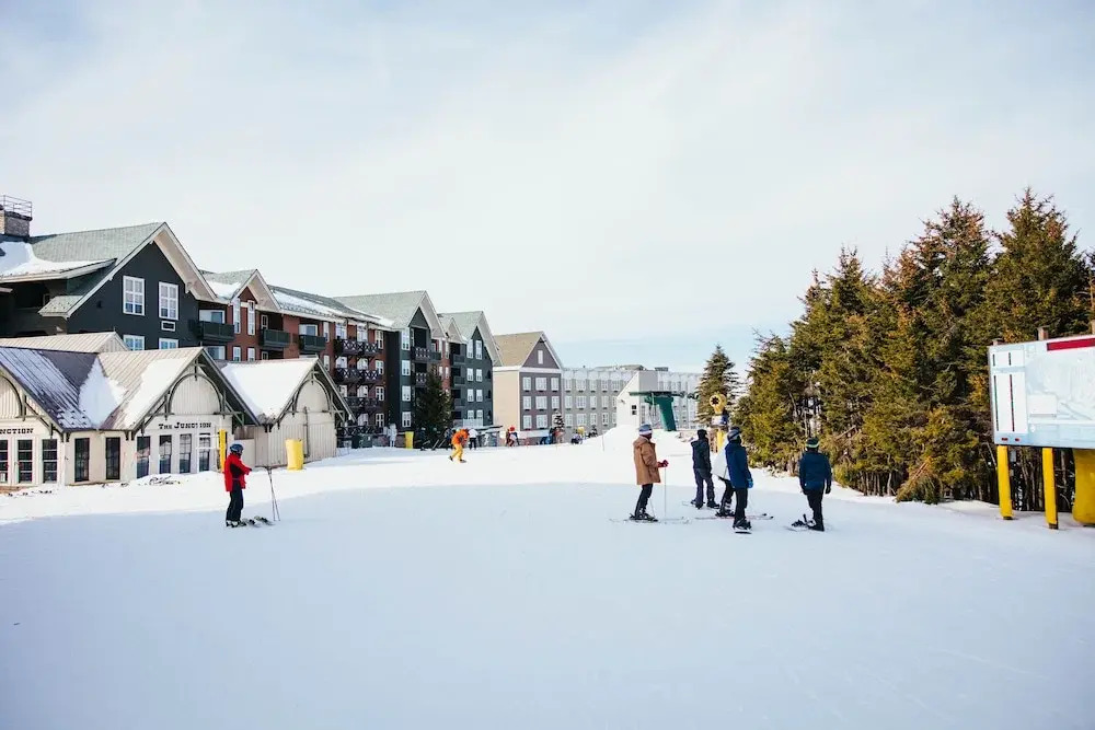 Allegheny Springs 414: Junior Studio Slopeside