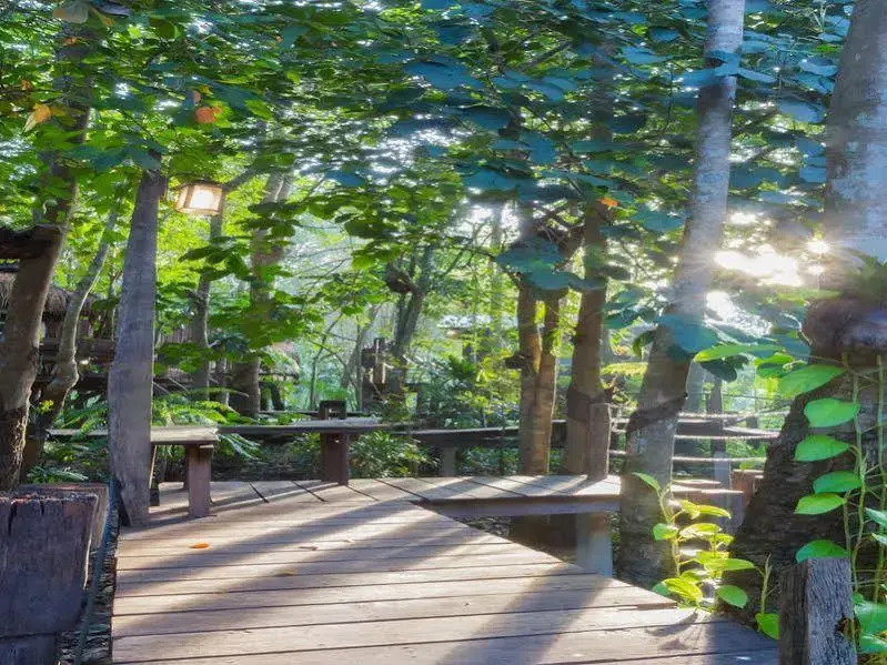 Oh Tree Resort