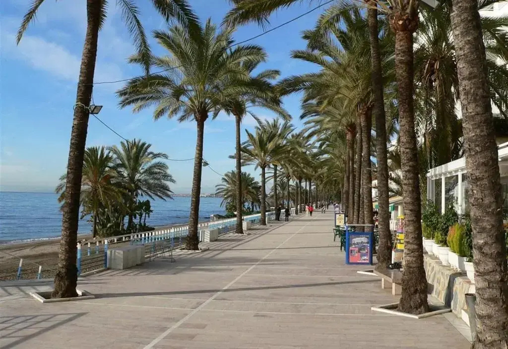 Apartment in Miramar Fuengirola I