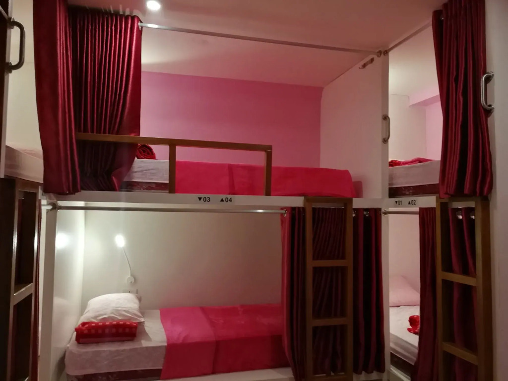 Sleepy Raccoon Hostel