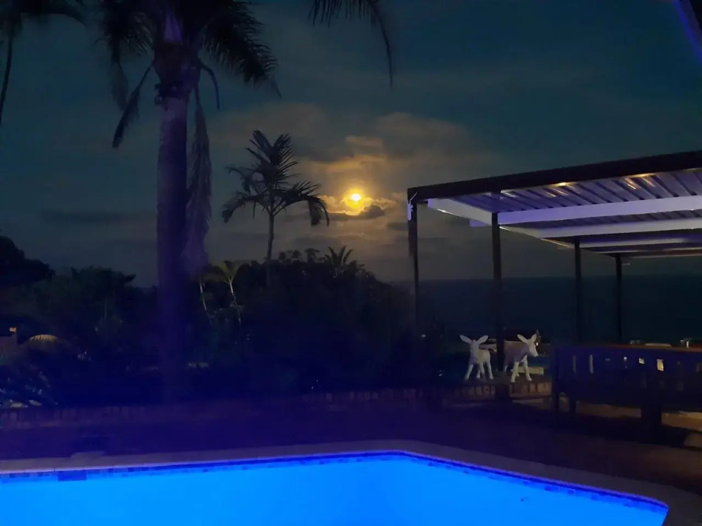 The Albatros Guesthouse