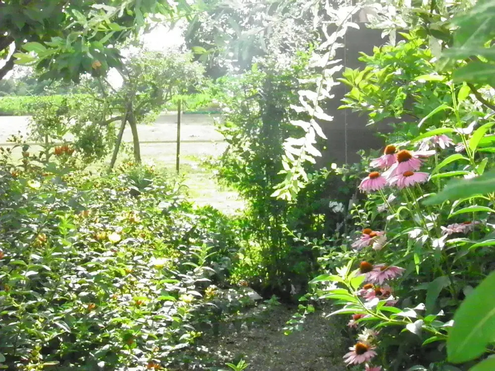 Gites de l'Hacienda