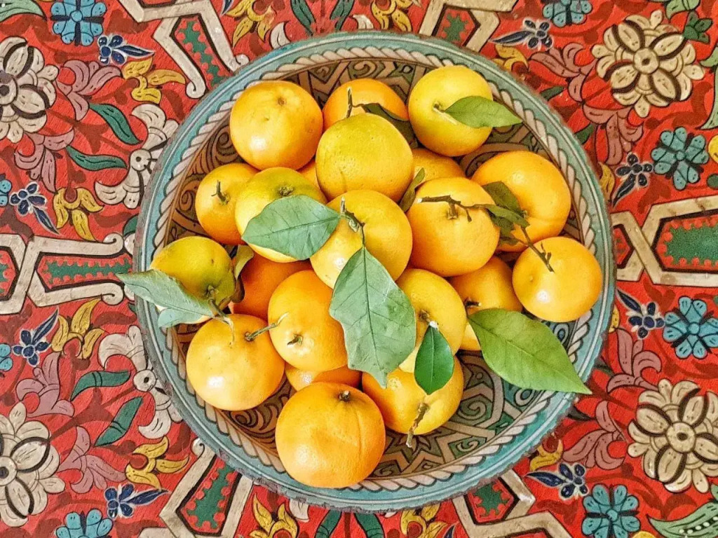 Riad Dar Rita