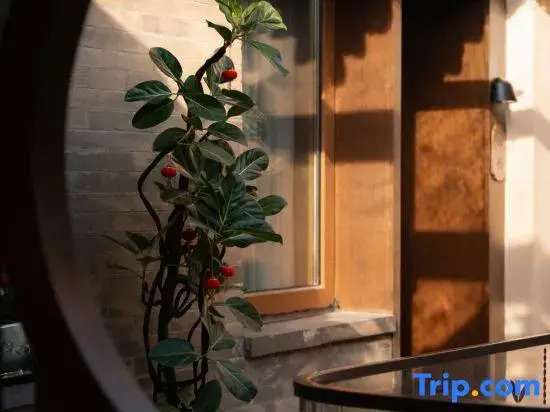 Weifeng Yun She · Chinese Siheyuan · Design Guesthouse (Datong Ancient City Huayan Temple)