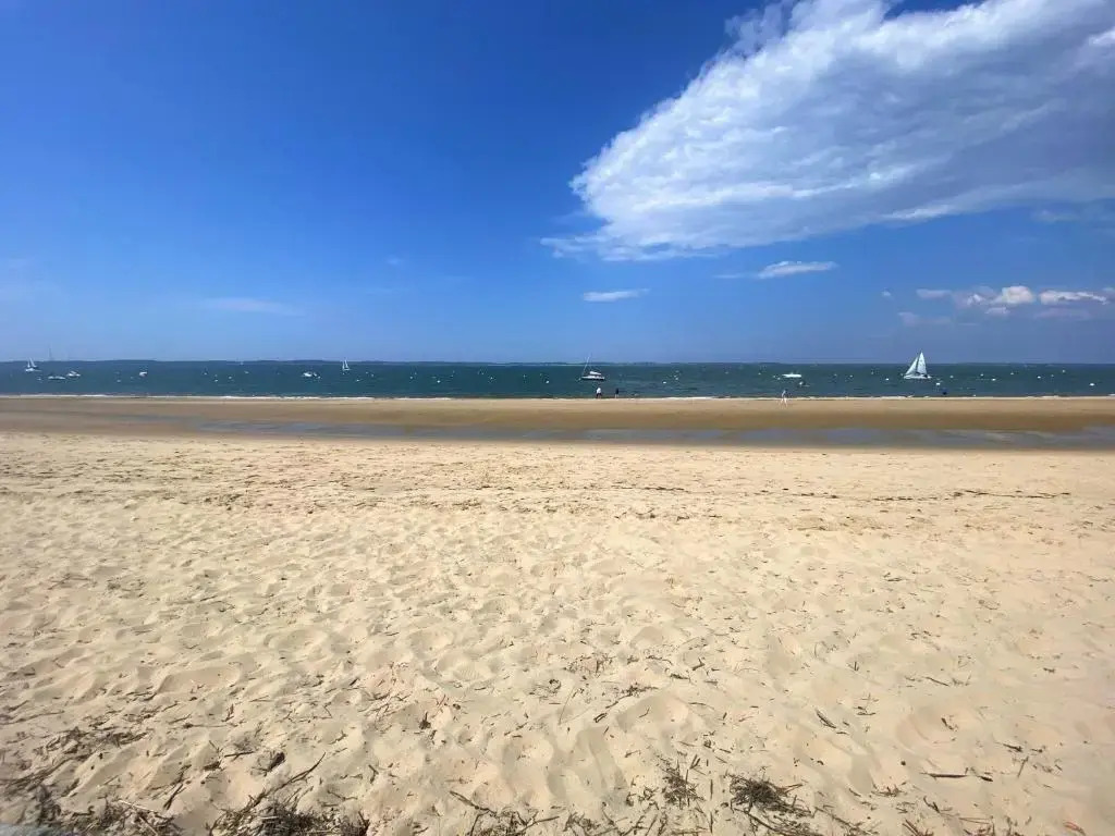 Appartement Arcachon, 2 pièces, 4 personnes - FR-1-420-110