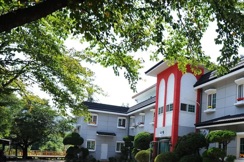 Shiny Town Pension