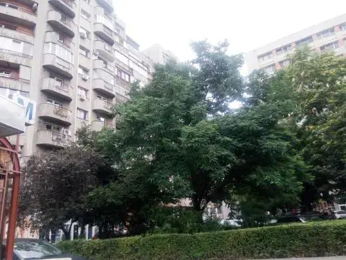 Apartament Dana