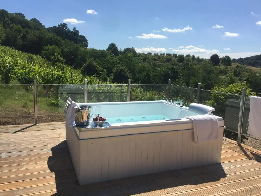 Villa Pongina with private pool