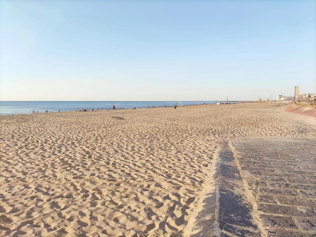 Sea Shelter