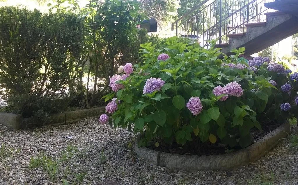 B&B Casalvento