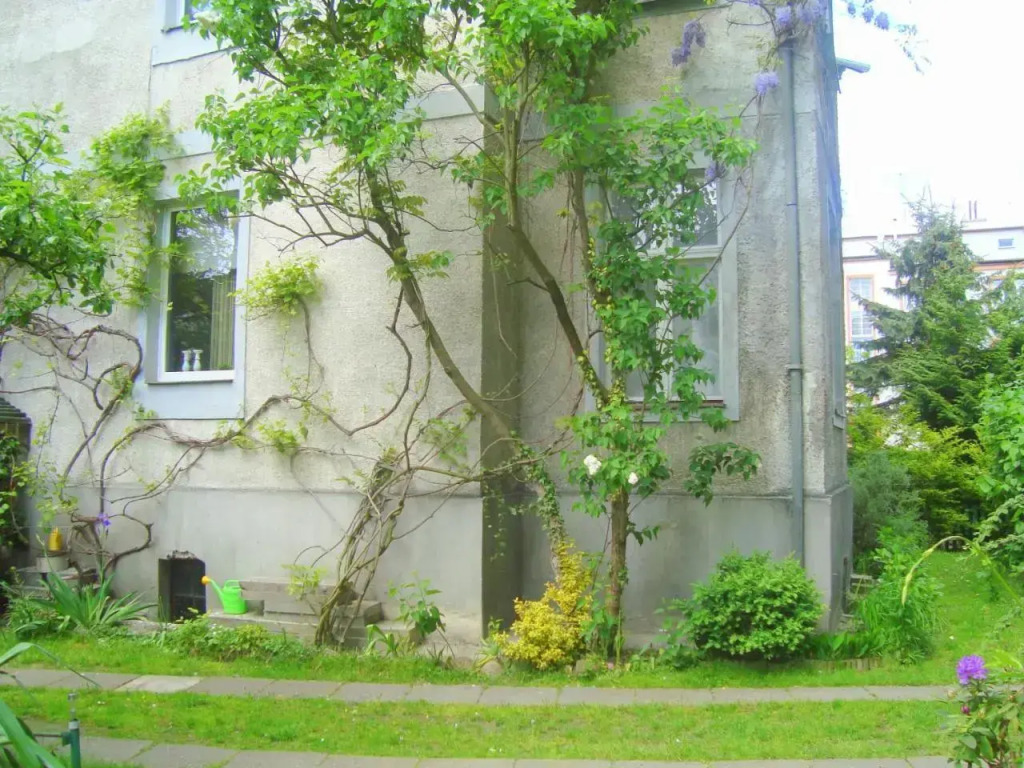 Apartamenty Hotelique