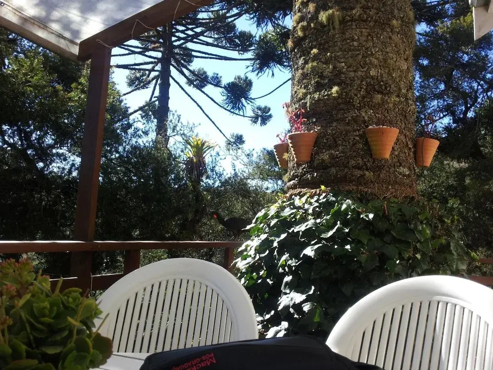 Forest Pine Inn