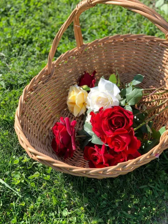 Welcome to Lush Tuscany and Beautiful Villa Adriano