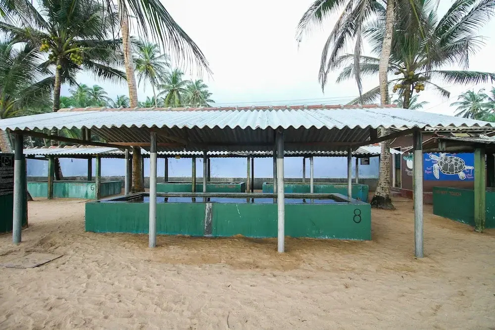 OYO 397 Sea Beach Inn