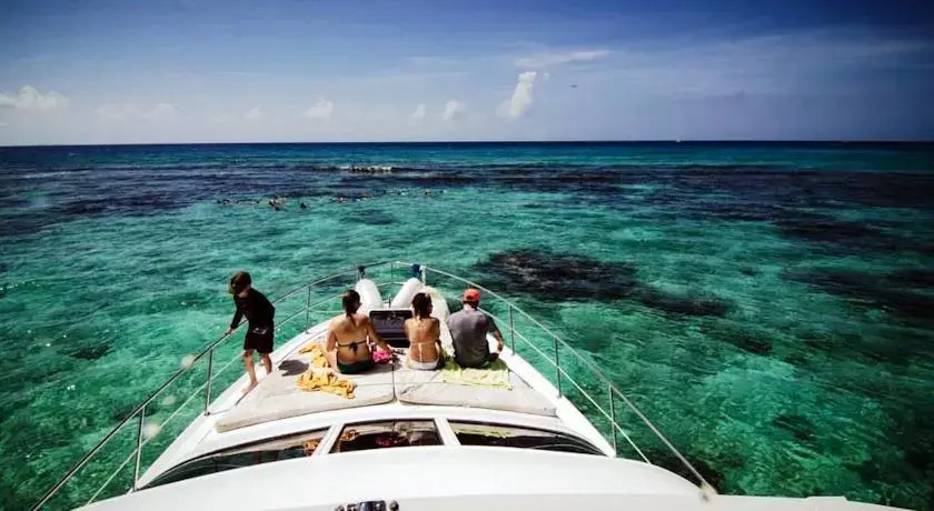 Yacht Searay 40