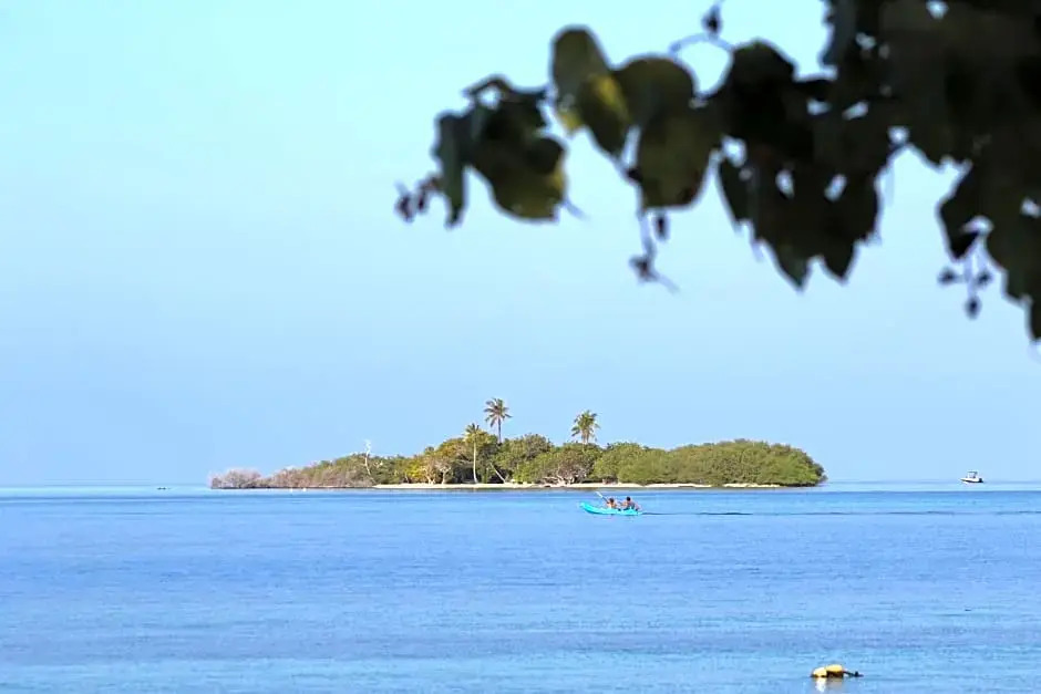 Rasdhoo Wave Blue