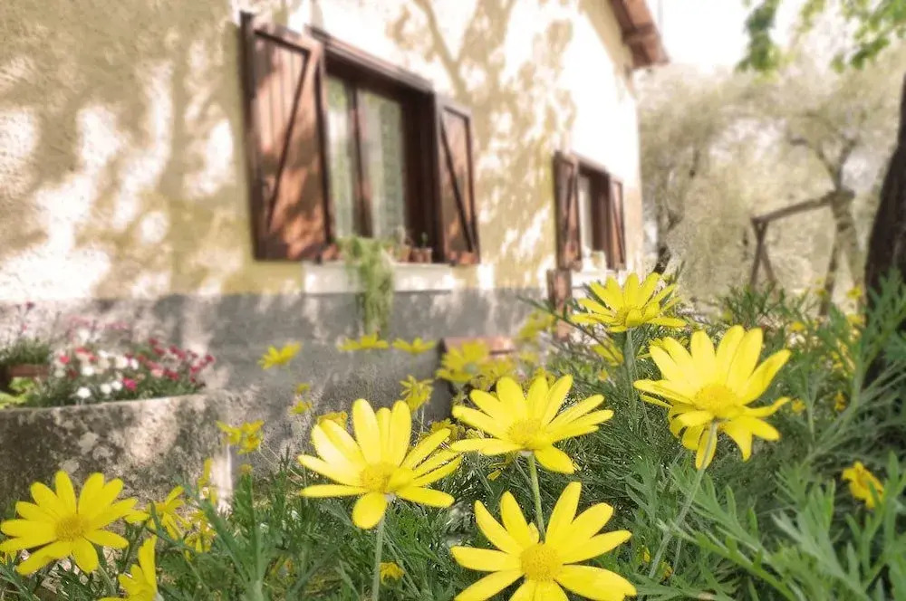 Agriturismo Macchiapiede