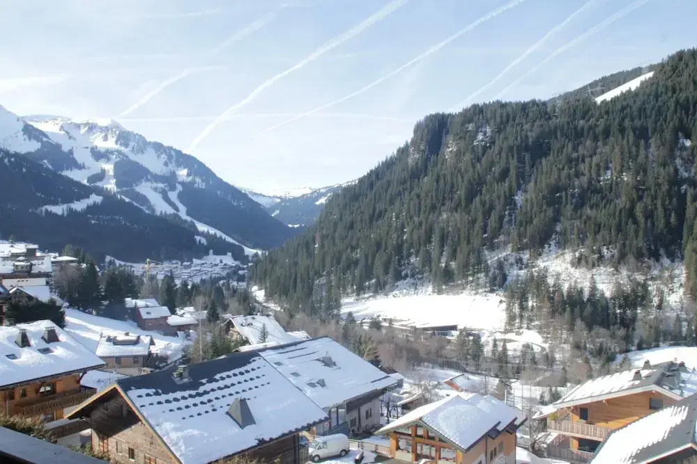 Castel des Neiges Csa4 Centre & View 6 Pers