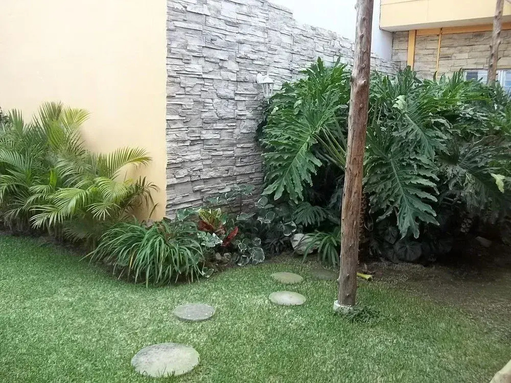 Bed & Breakfast the Rock