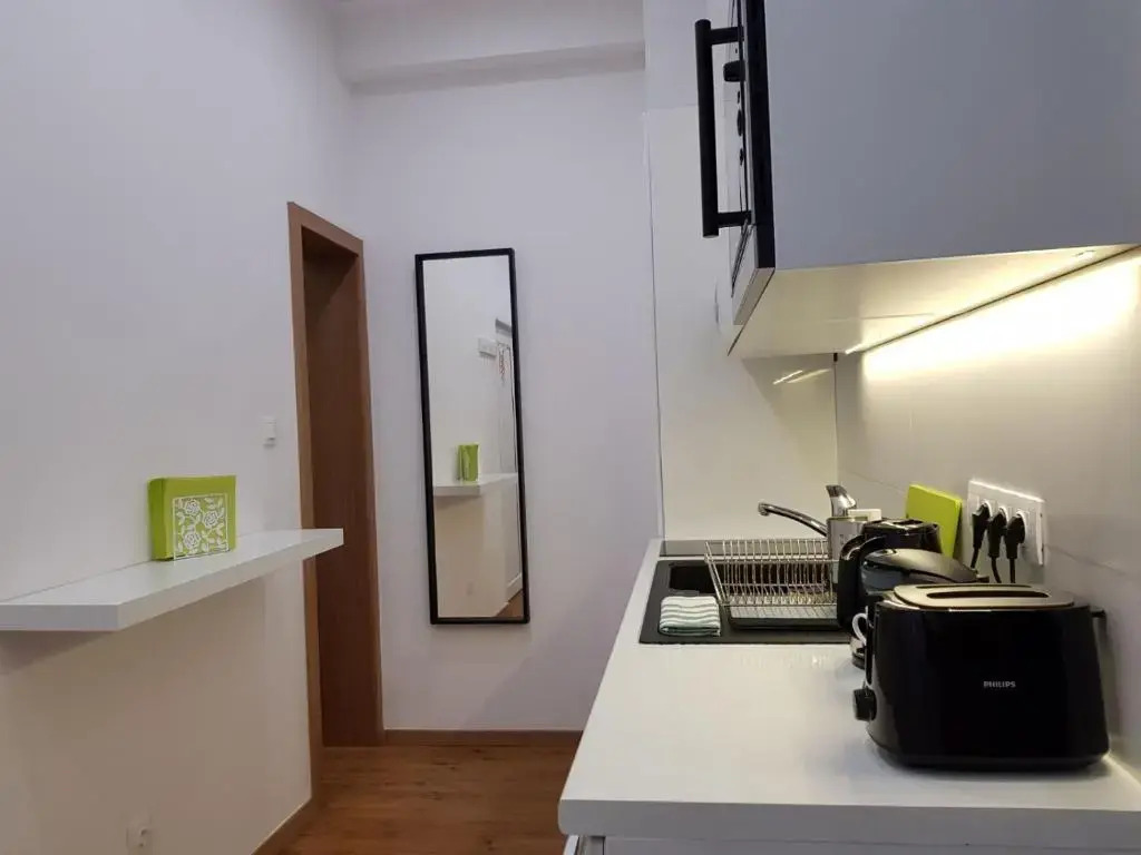 Renaissance Studio Apartment