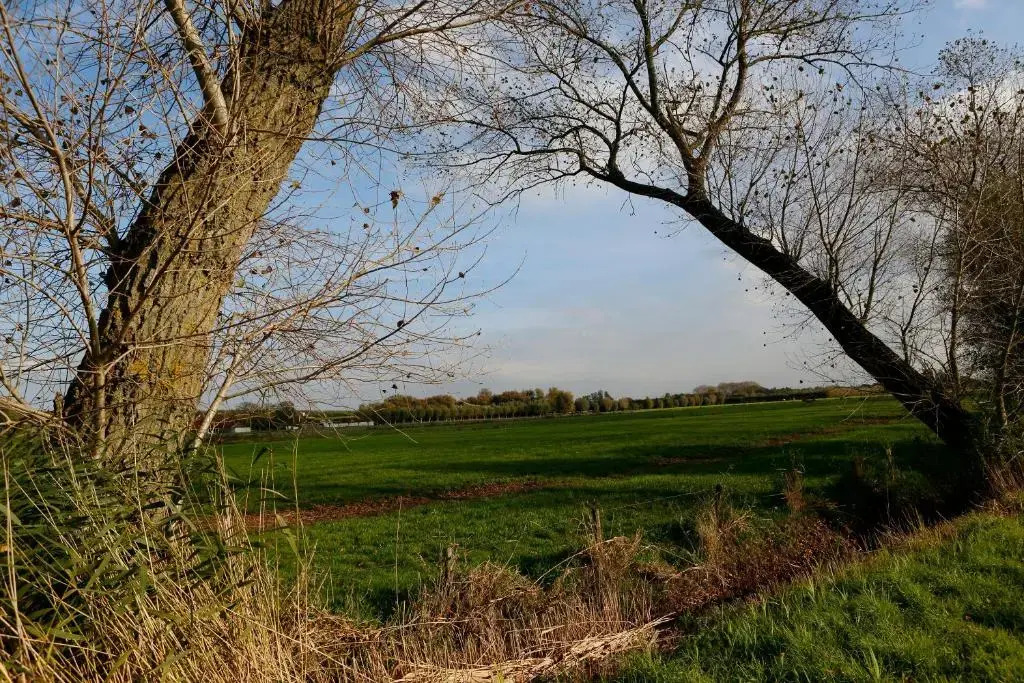 De Grote Wateringe