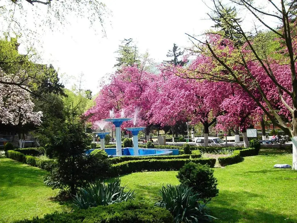 Pensiunea Magic