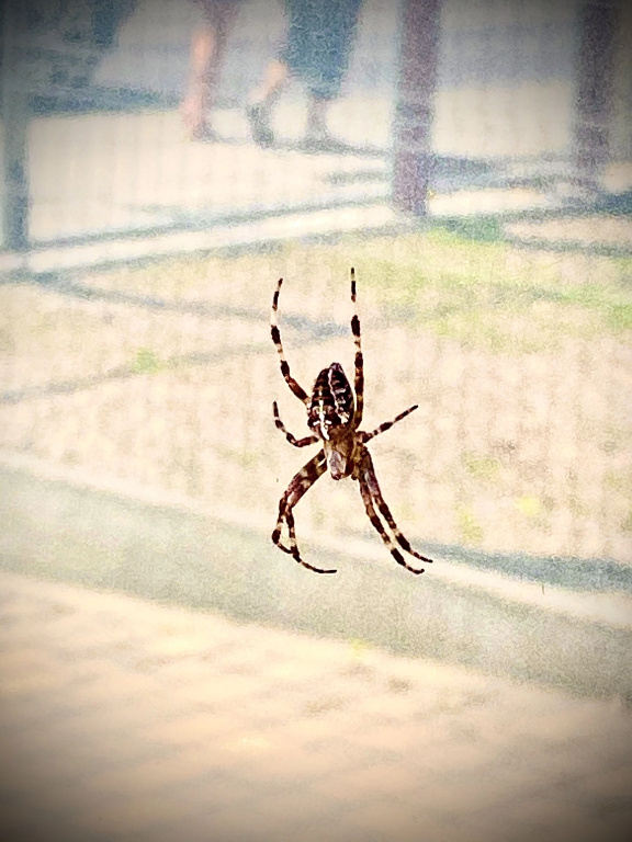 Pokoje w Starej Karczmie