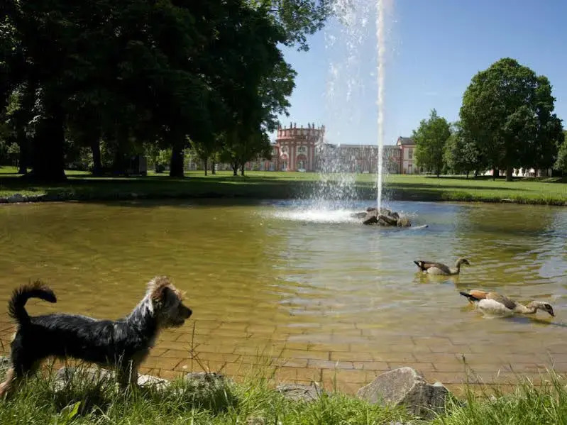 Hotel Am Schlosspark , Wiesbaden