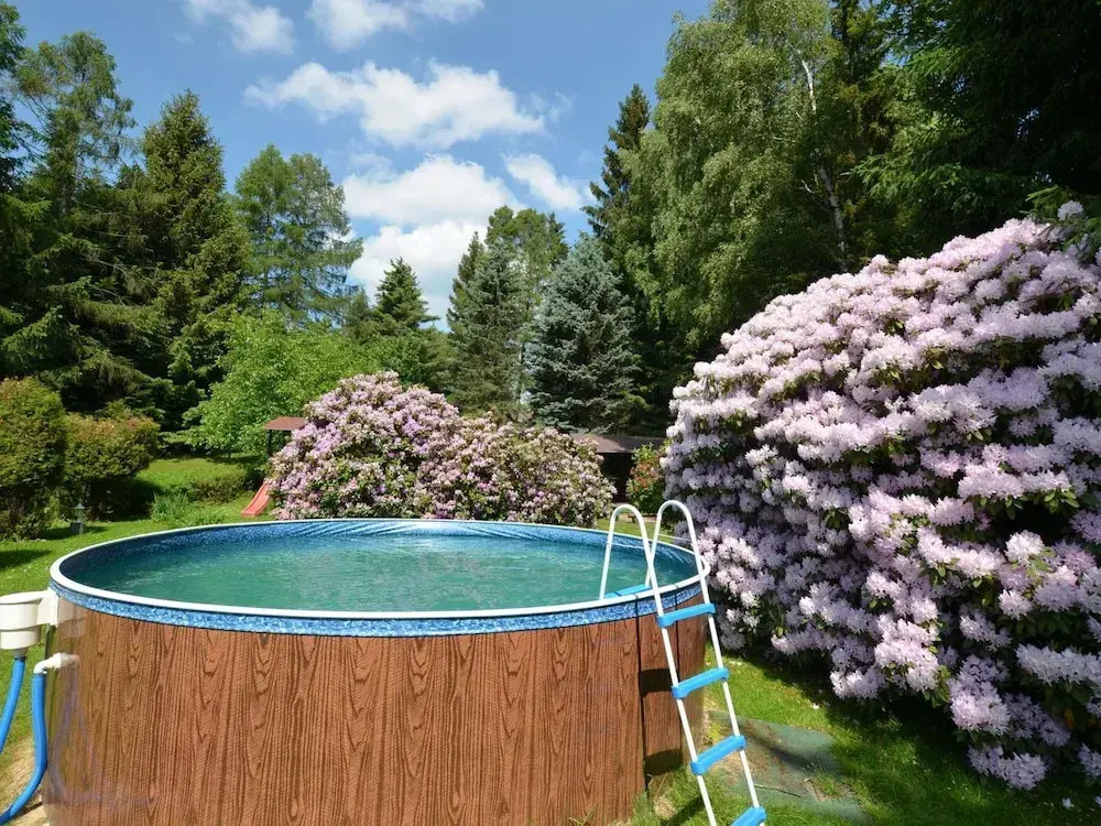 Forest Escape With Garden