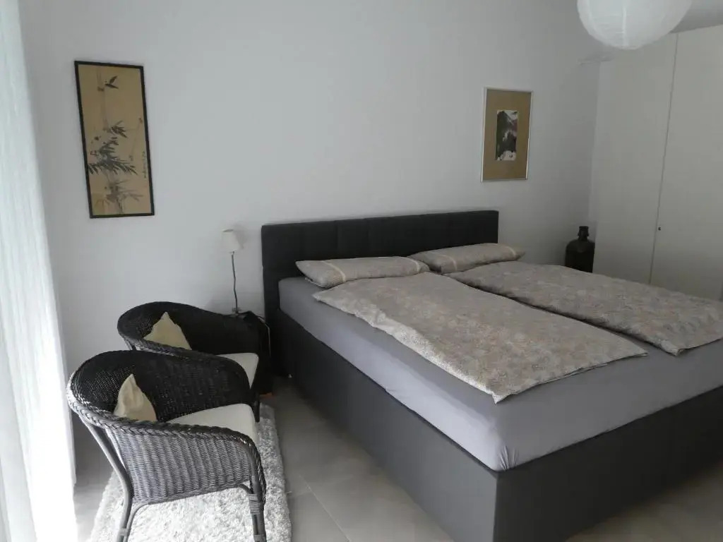 Großzugige,Zetrumsnahe Wohnung (Adults Only)
