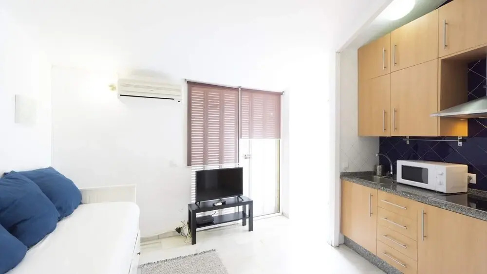 RentalSevilla Estudio con terraza junto a la Alameda