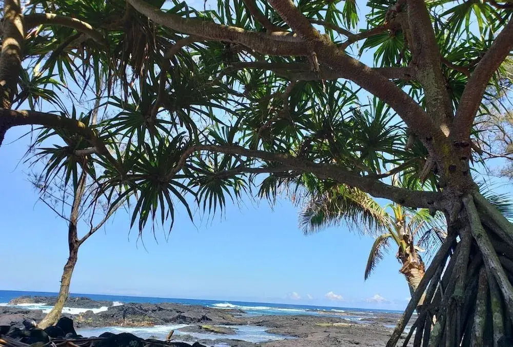 Plumeria Hilo Hotel