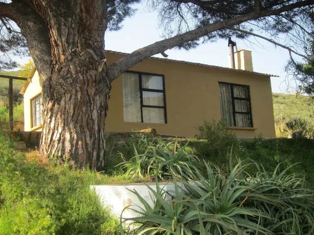 Swaynekloof Farm