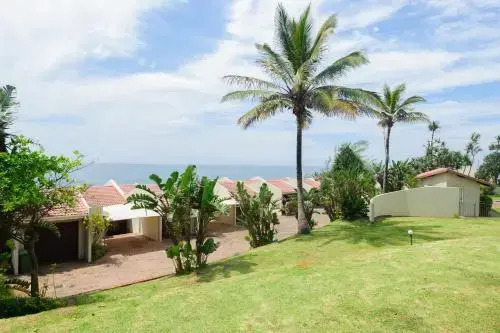 Martinique 44