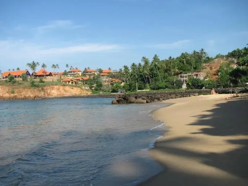 OceanLife Surf Stay at Horizon Inn