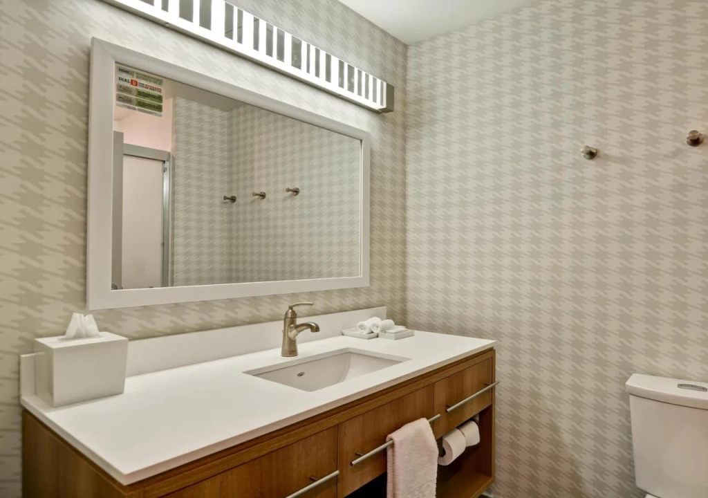 Home2 Suites By Hilton Tampa USF Near Busch Gardens