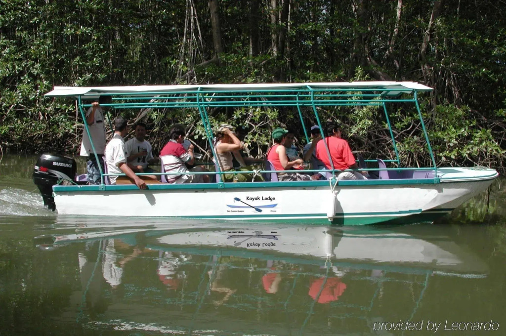 Kayak Lodge